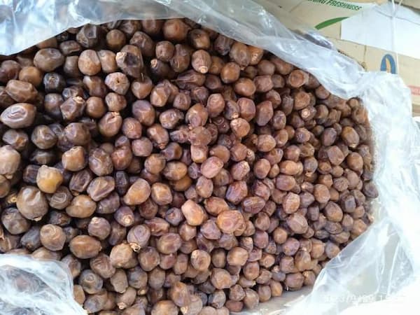 تصویر 2 از خرید خرما خاصویی خشک + قیمت فروش استثنایی